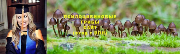 молекула духа Няндома