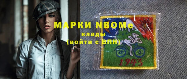 молекула духа Няндома