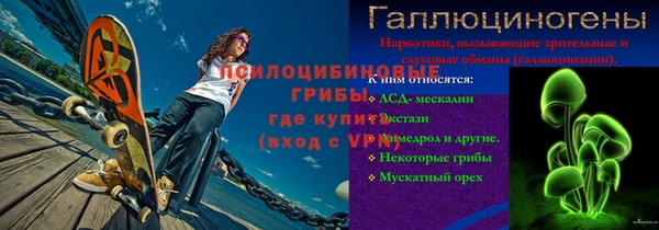 молекула духа Няндома