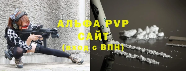 молекула духа Няндома